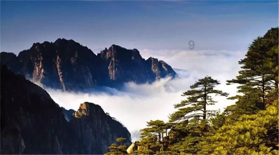 地下车库滴水 业主车变“花脸”